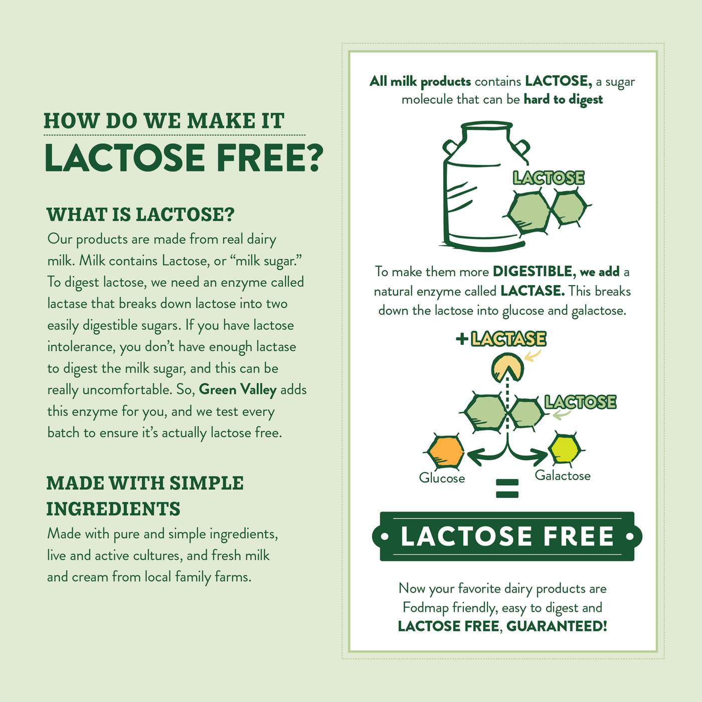 Green Valley Lactose Free Organic Lowfat Vanilla Yogurt; image 2 of 8