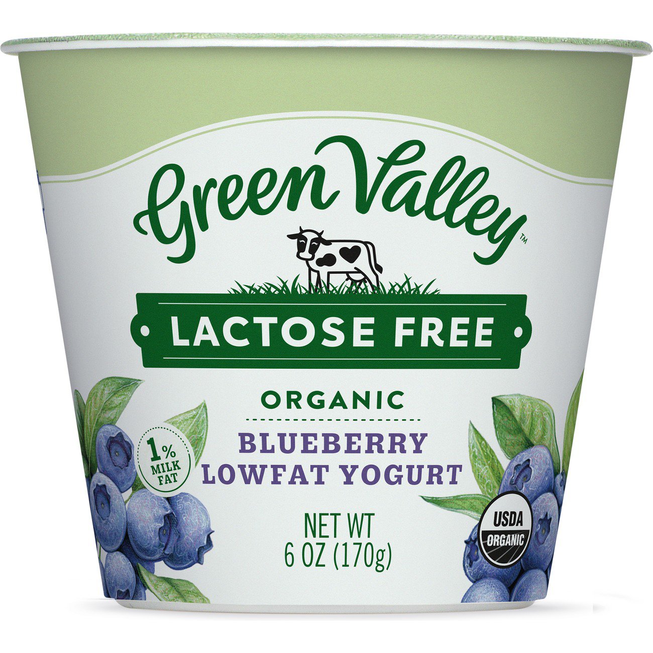 Green Valley Creamery Organic Low Fat Lactose Free Blueberry Yogurt