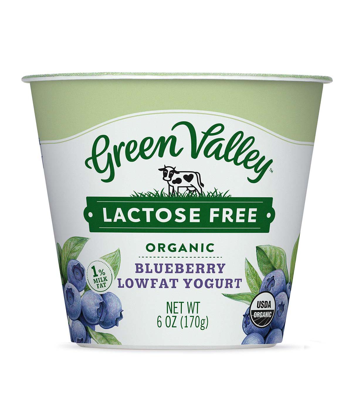 Green Valley Lactose Free Organic Blueberry Lowfat Yogurt; image 1 of 3