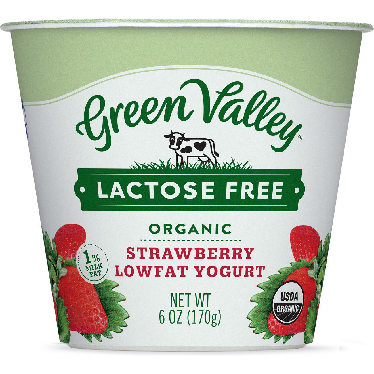 Green Valley Lactose Free Organic Strawberry Lowfat Yogurt Shop Yogurt at HEB
