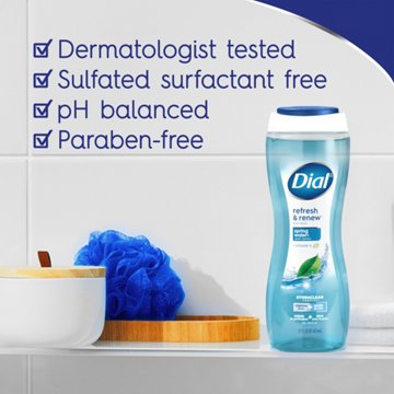 Dial Body Wash Refresh & Renew - Spring Water, 16 oz