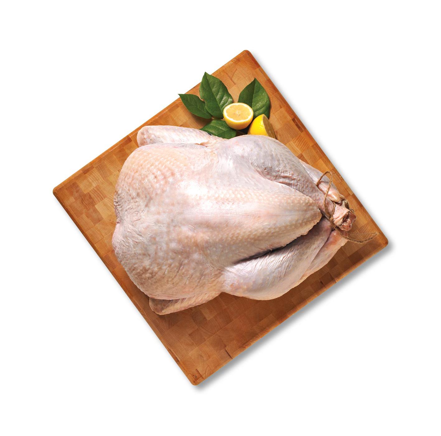 Diestel Free-Range Organic Fresh Turkey, 12-14 lbs., Serves 12 to 14; image 1 of 2