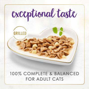 Fancy Feast Purina Delights Wet Cat Food - Cheddar Grilled Turkey and Cheddar Cheese Feast in Gravy