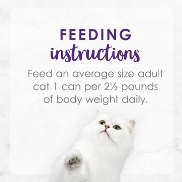 Fancy Feast Purina Delights Wet Cat Food - Cheddar Grilled Turkey and Cheddar Cheese Feast in Gravy