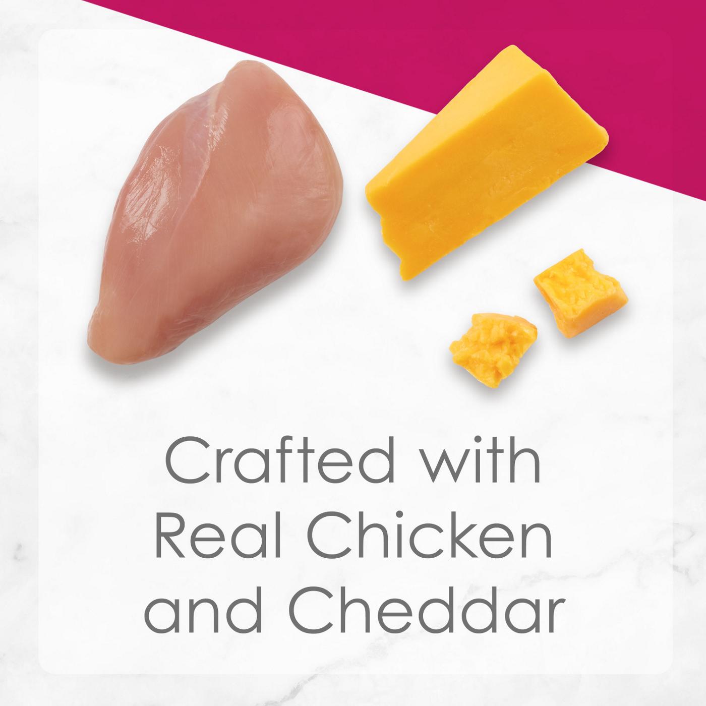 Fancy Feast Purina Delights Wet Cat Food - Cheddar Grilled Chicken and Cheddar Cheese Feast in Gravy; image 2 of 5