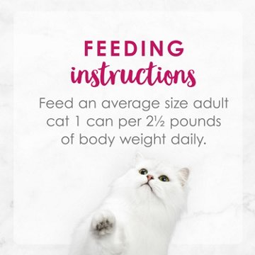 Fancy Feast Purina Delights Wet Cat Food - Cheddar Grilled Chicken and Cheddar Cheese Feast in Gravy, 3 oz