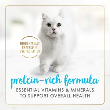 Fancy Feast Purina Delights Wet Cat Food - Cheddar Grilled Tuna and Cheddar Cheese Feast in Gravy