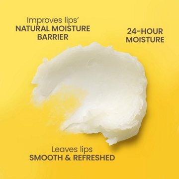 Burt's Bees Moisturizing Lip Balm Pack - Beeswax