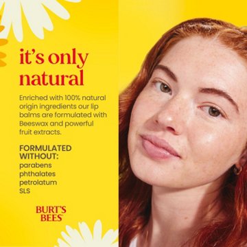 Burt's Bees Moisturizing Lip Balm Pack - Beeswax