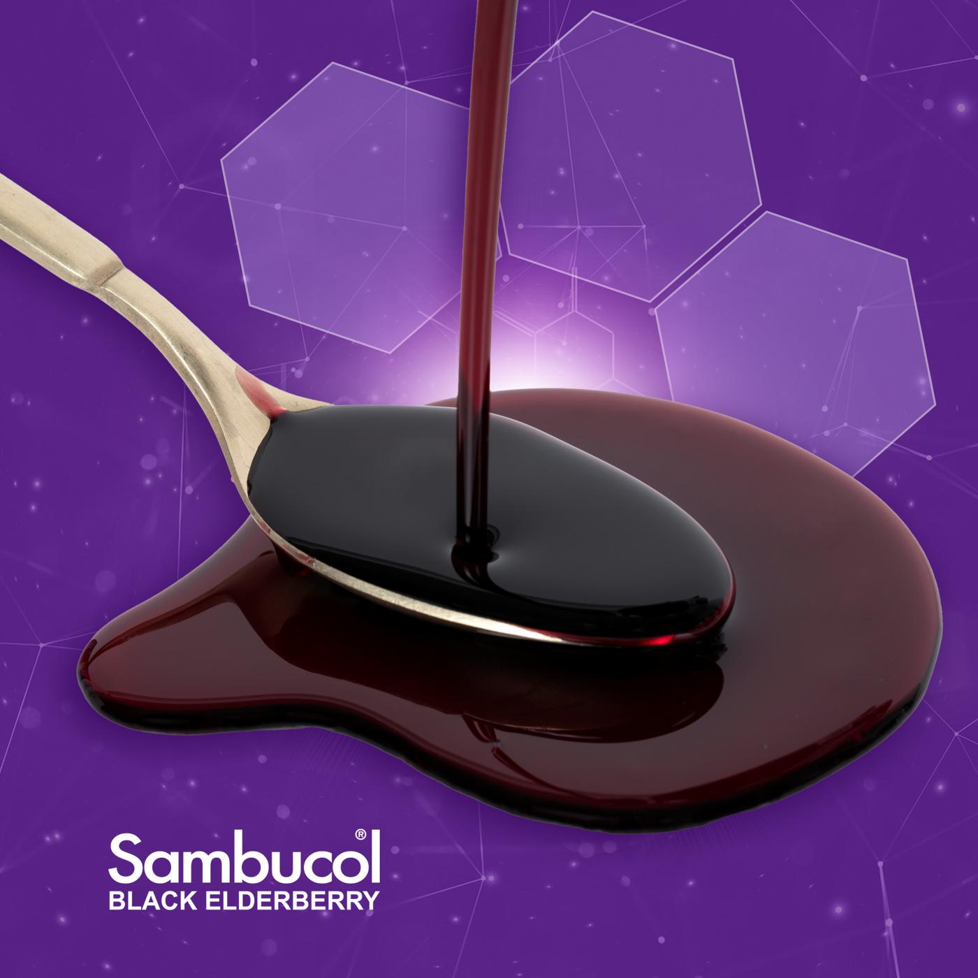 Sambucol Original Black Elderberry Syrup; image 3 of 5