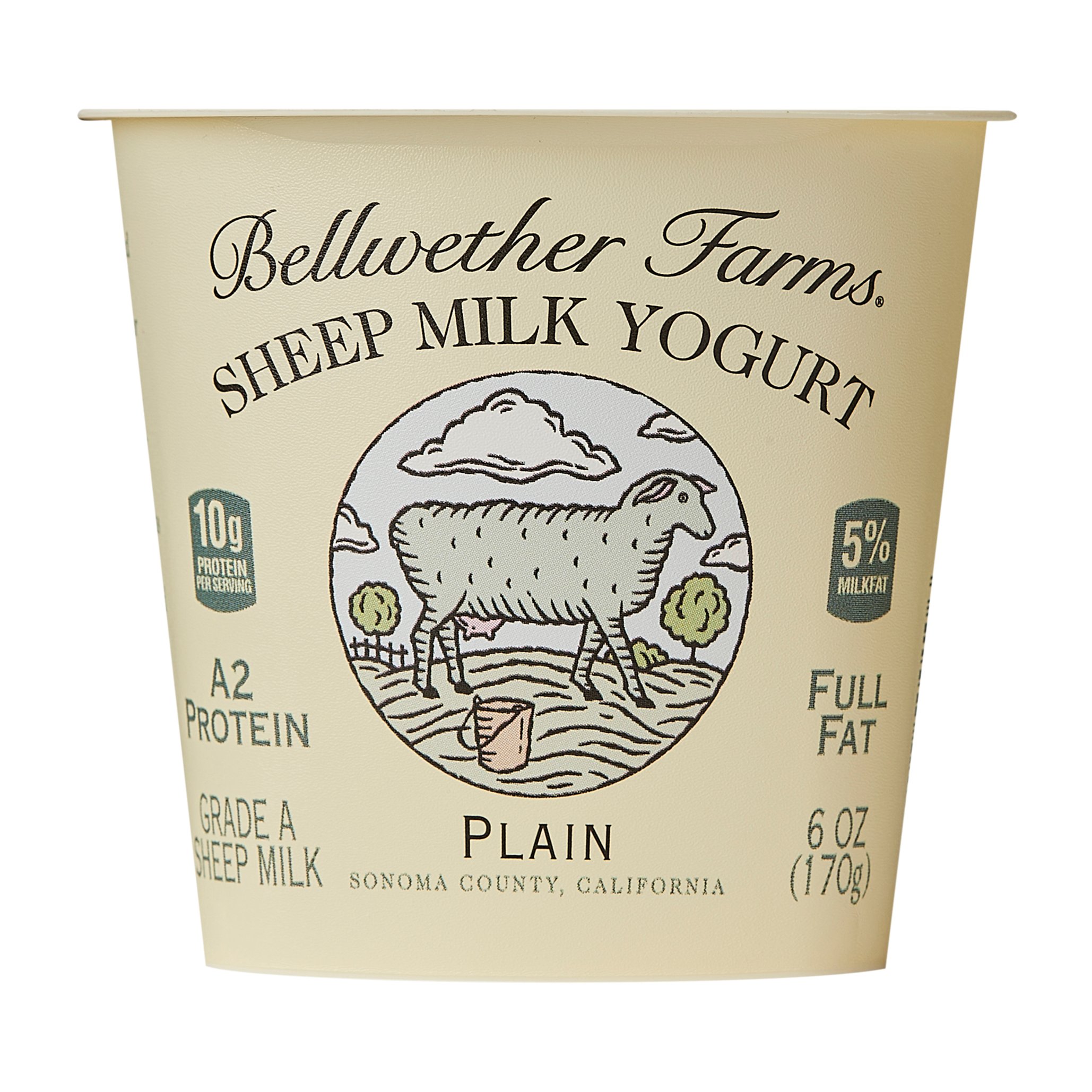 Bellwether Farms Plain Sheep Milk Yogurt, 6 oz