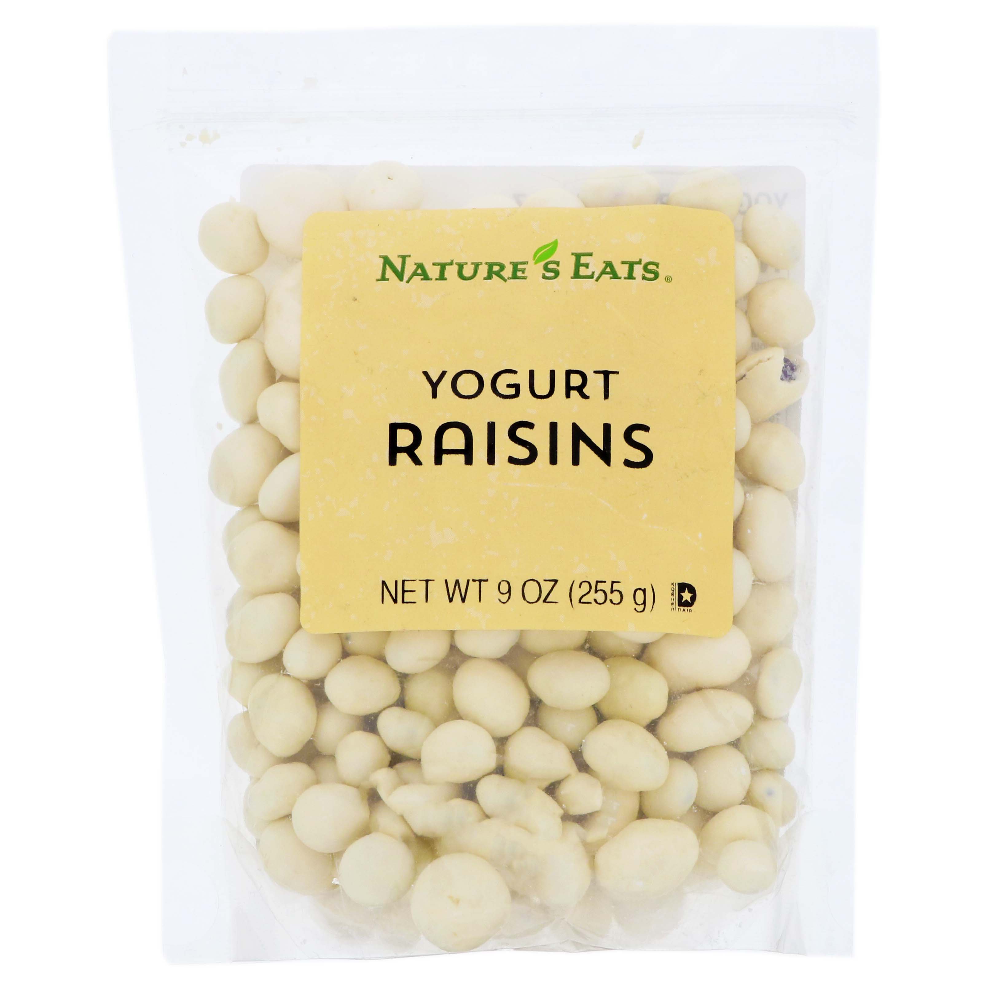 Nature's Eats Yogurt Raisins Shop Candy at HEB