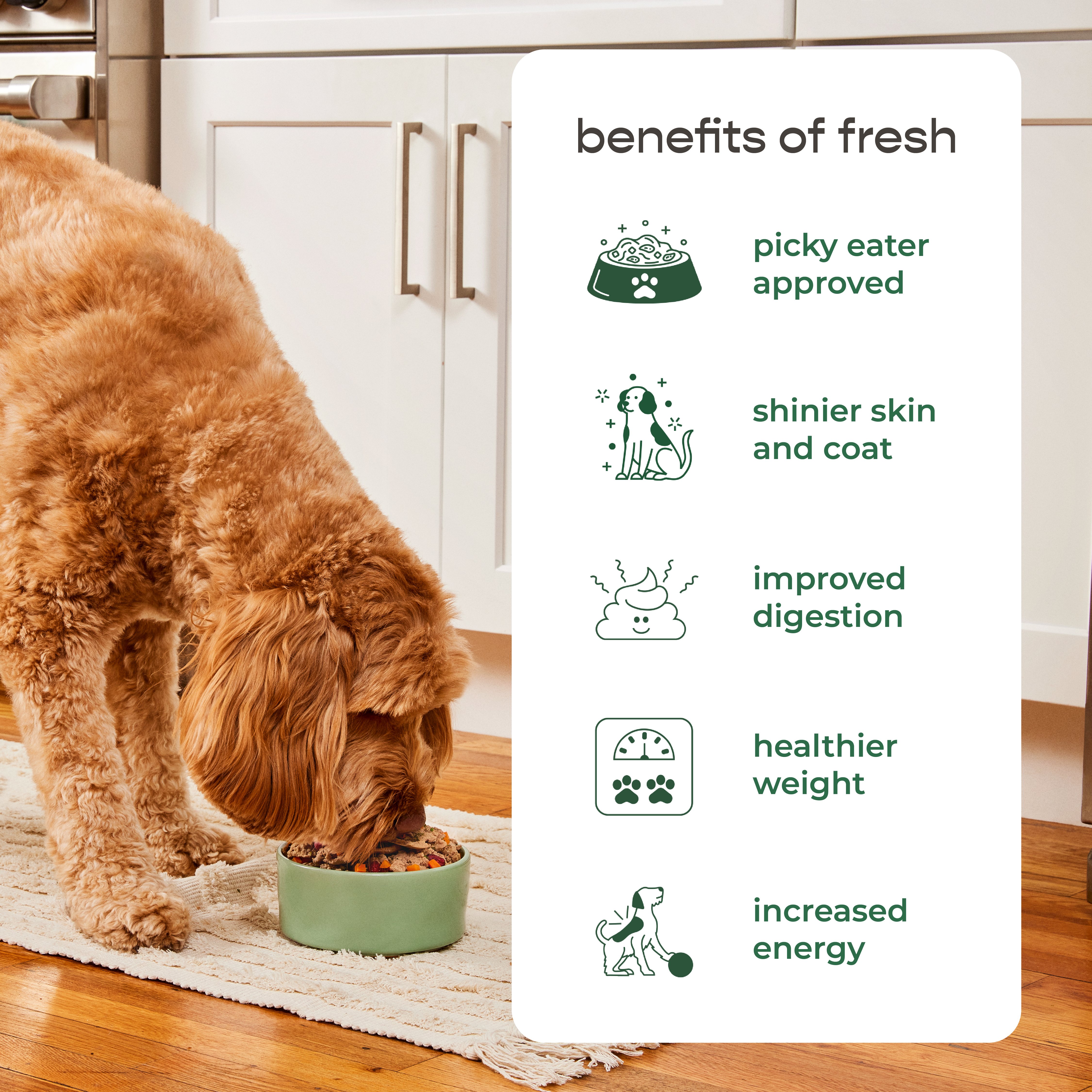 Freshpet dog food nutrition facts hotsell