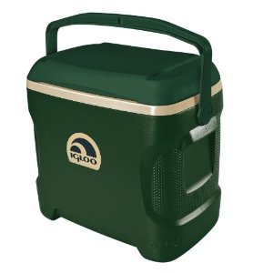 Igloo Hunter Green 30 Quart Sportsman Cooler - Shop Coolers & Ice Packs at  H-E-B