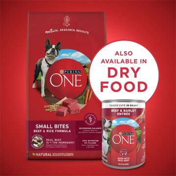 Purina ONE Tender Cuts Wet Dog Food - Gravy Beef and Barley Entree, 13 oz