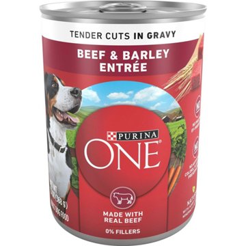 Purina ONE Tender Cuts Wet Dog Food - Gravy Beef and Barley Entree, 13 oz