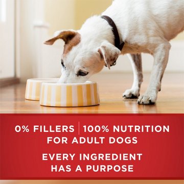 Purina ONE Tender Cuts in Wet Dog Food Gravy - Chicken and Brown Rice Entree, 13 oz