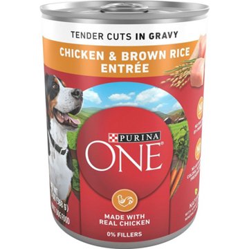 Purina ONE Tender Cuts in Wet Dog Food Gravy - Chicken and Brown Rice Entree, 13 oz