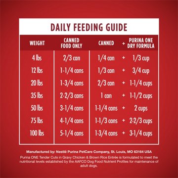 Purina ONE Tender Cuts in Wet Dog Food Gravy - Chicken and Brown Rice Entree, 13 oz