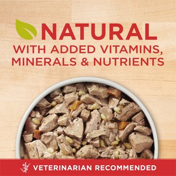 Purina ONE Tender Cuts in Wet Dog Food Gravy - Chicken and Brown Rice Entree, 13 oz