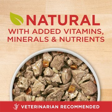 Purina ONE Plus Tender Cuts in Gravy Healthy Weight Entree in Wet Dog Food Gravy - Lamb and Brown Rice, 13 oz