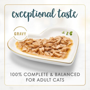 Fancy Feast Purina Gravy Lovers Gourmet Wet Cat Food - Turkey Feast