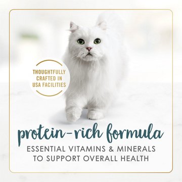 Fancy Feast Purina Gravy Lovers Gourmet Wet Cat Food - Turkey Feast
