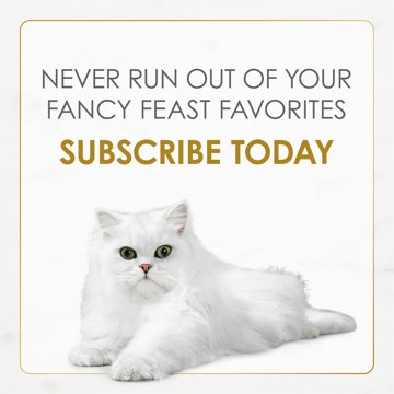 Fancy Feast Purina Gravy Lovers Gourmet Wet Cat Food - Turkey Feast