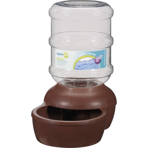 Aspen Pet Brown Le Bistro 1 GAL Waterer Shop Dogs at HEB