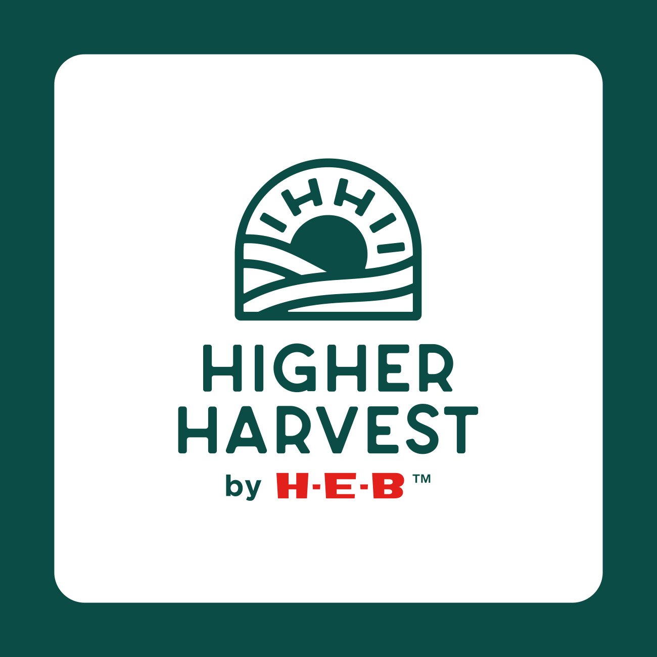 Higher Harvest By H-E-B Gluten-Free Rice Thins - Plain - Shop Crackers ...