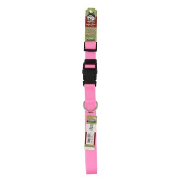 Coastal Pet Products 1 Inch Nylon Collar, EACH