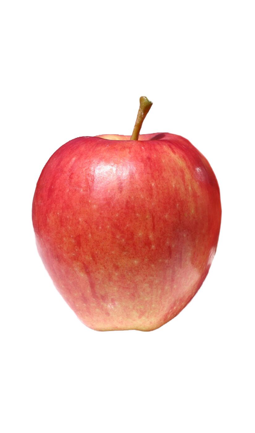 Fresh Sweetie Apple; image 3 of 3