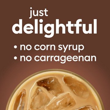 International Delight Mocha Iced Coffee