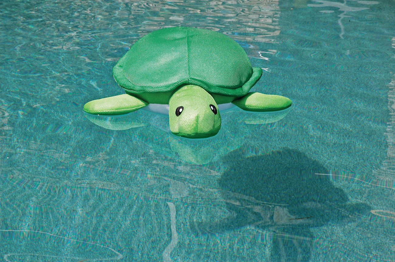 turtle pool toy