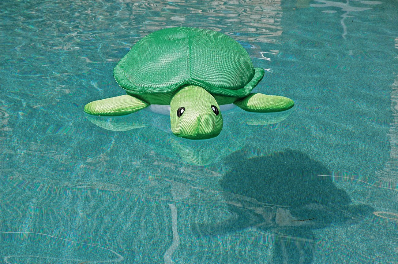 NeoNoodle Turtle Pool Petz Float Shop Floats at HEB