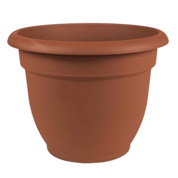 Bloem Ariana Terra Cotta Planter, 6 in