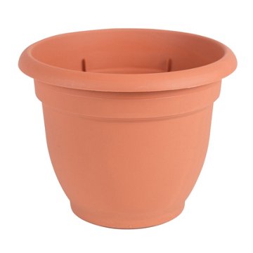 Bloem Ariana Terra Cotta Planter, 8 in