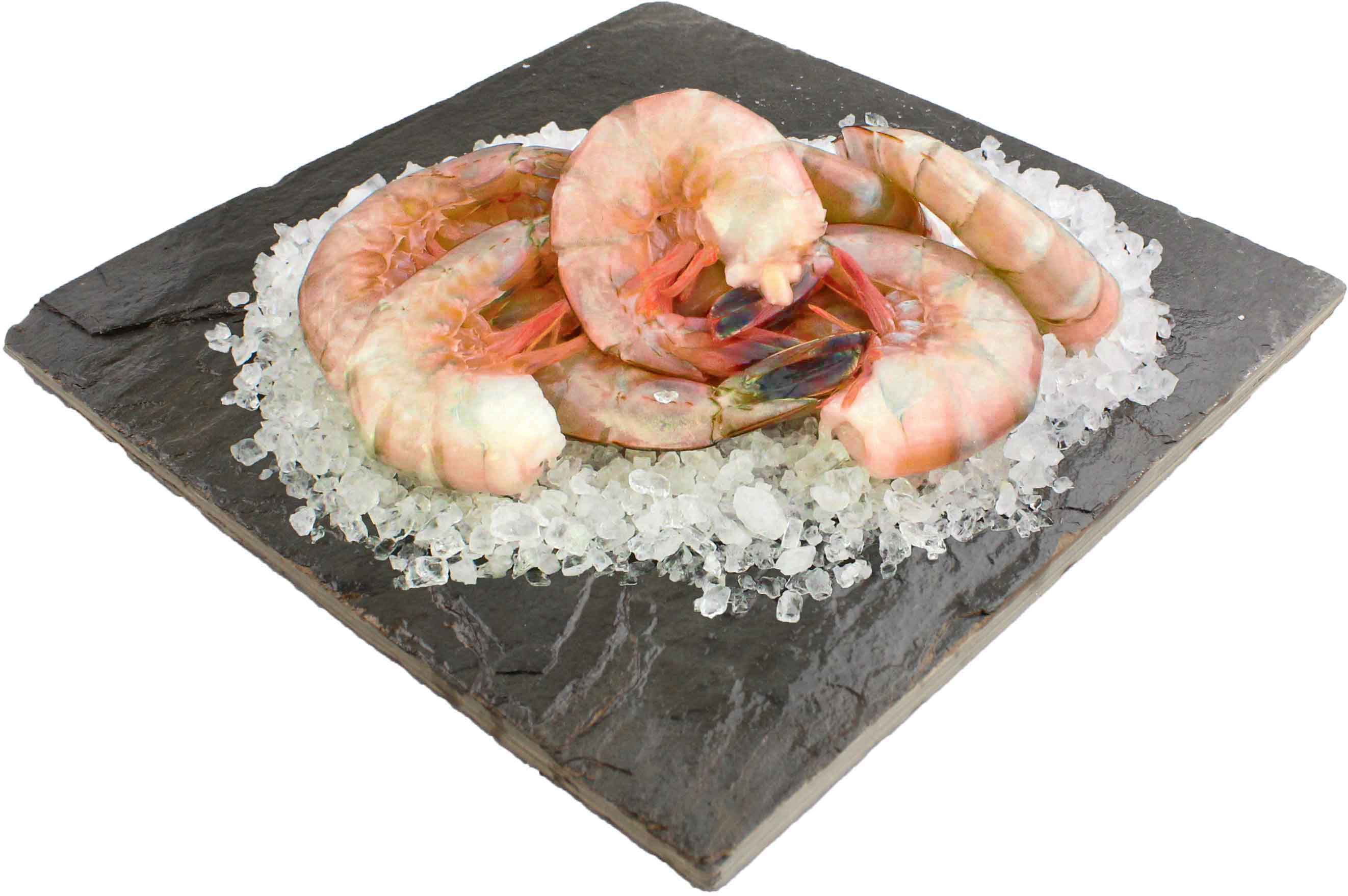 Fresh Key West Pink Shrimp U12 Shop Seafood at HEB