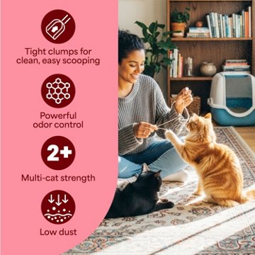 Fresh Step Extreme Clump Multi Cat Clumping Litter - Febreze, 22 lb