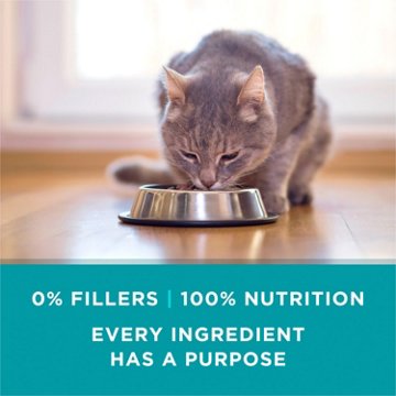 Purina ONE Natural High Protein Cat Food - Chicken Recipe in Wet Cat Food Gravy