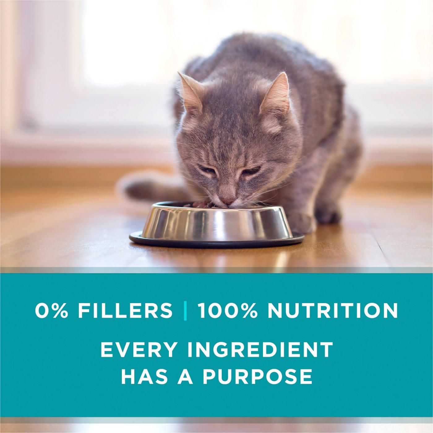 Purina ONE Purina ONE Natural High Protein Cat Food, True Instinct Chicken Recipe in Gravy; image 3 of 6