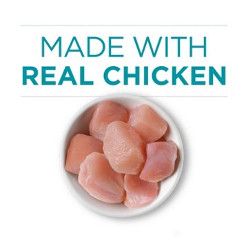 Purina ONE Natural High Protein Cat Food - Chicken Recipe in Wet Cat Food Gravy