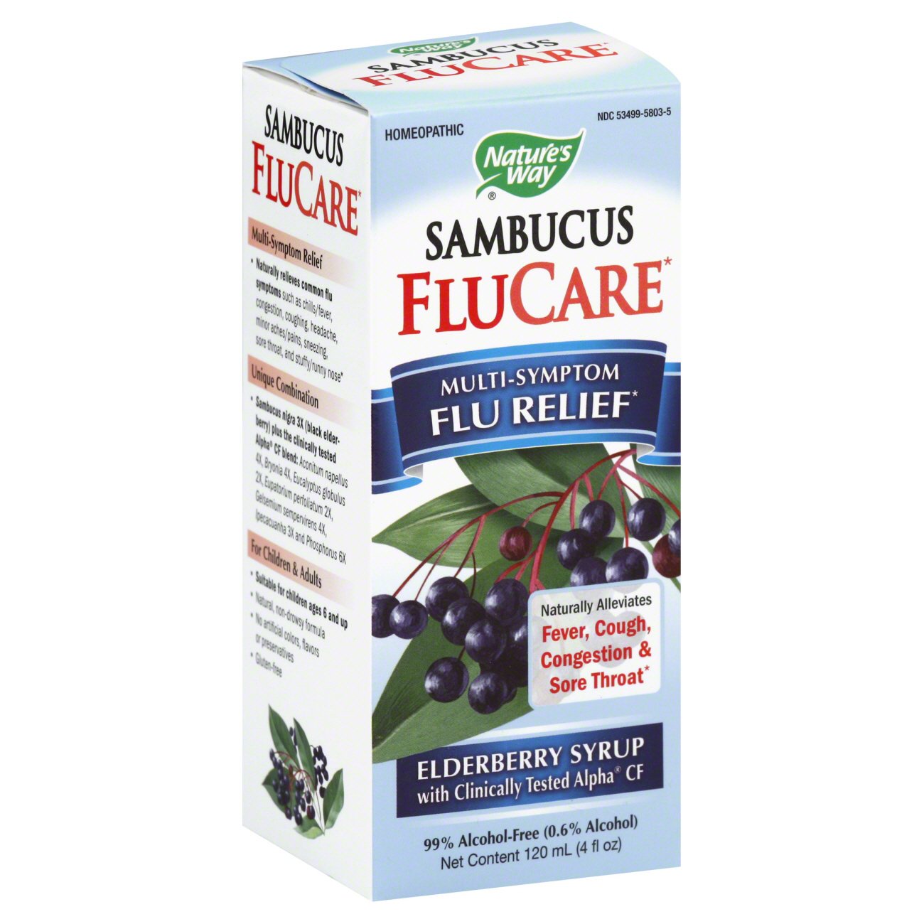 Nature's Way Sambucus FluCare Elderberry Syrup Shop Cough, Cold & Flu at HEB