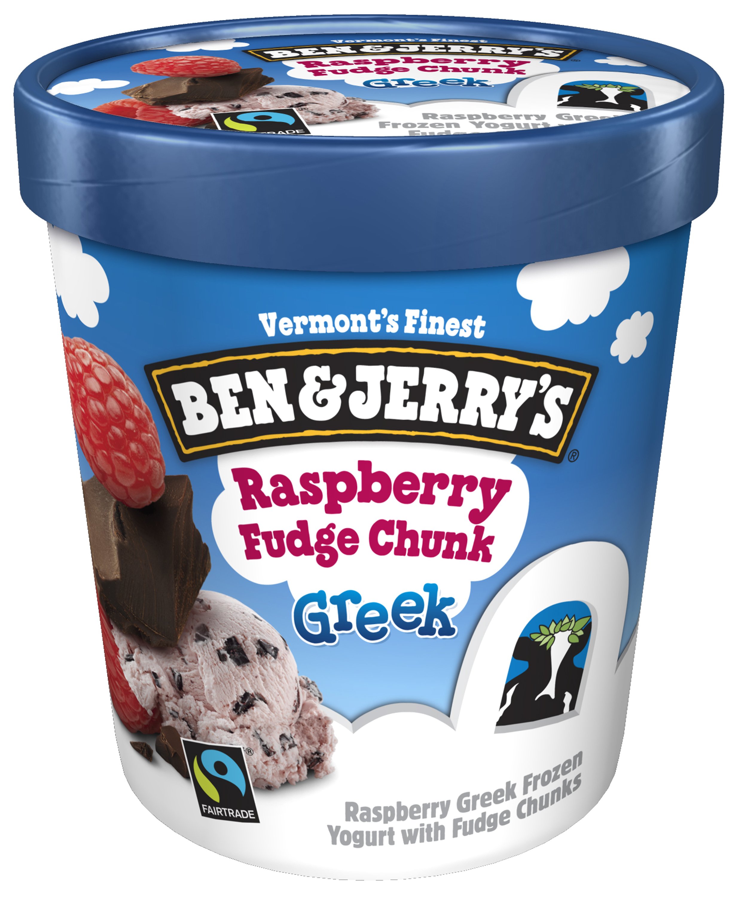 Ben & Jerry's Raspberry Fudge Chunk Greek Frozen Yogurt Shop Ice