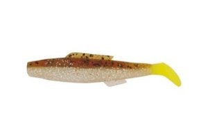 cocahoe minnow