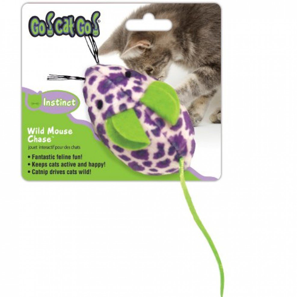 go cat mouse