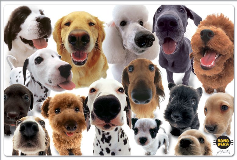 Conimar Hana Deka Club Dogs Pet Placemat - Shop Bowls & automatic ...