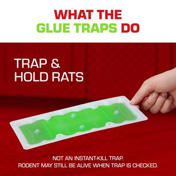 Tomcat Super Hold Rat Size Glue Traps, 2 ct