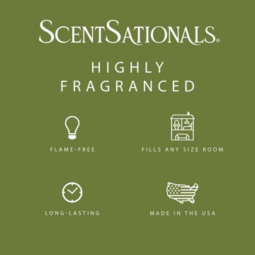 ScentSationals Wild Raspberry Scented Wax Melt Cubes, 6 ct