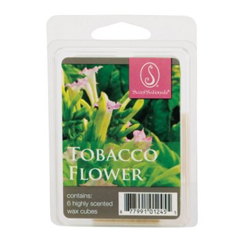 ScentSationals Tobacco Flower Scented Wax Melt Cubes, 2.5 oz